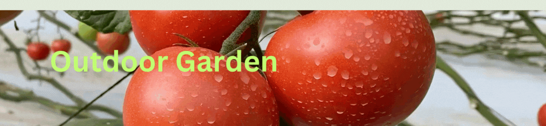 garden